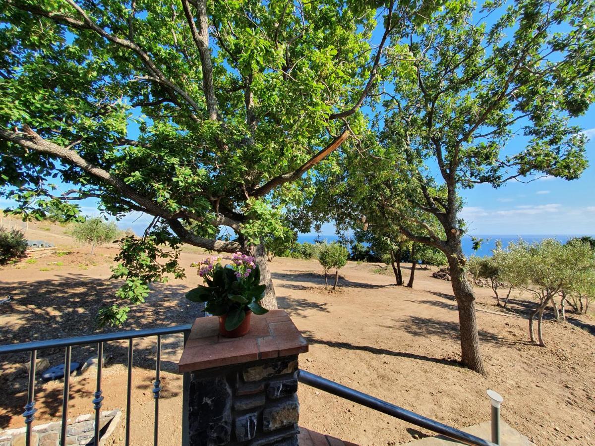 Agriturismo Le Terre Di Venere Acciaroli Ngoại thất bức ảnh