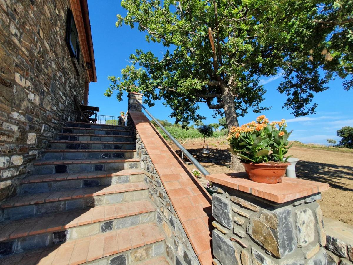 Agriturismo Le Terre Di Venere Acciaroli Ngoại thất bức ảnh